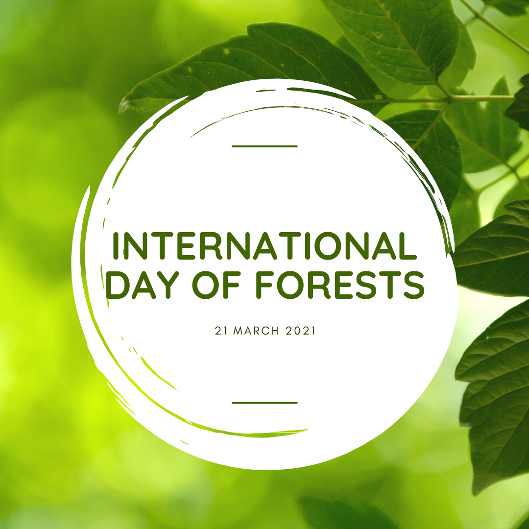 Celebrating International Day of Forests Tandym