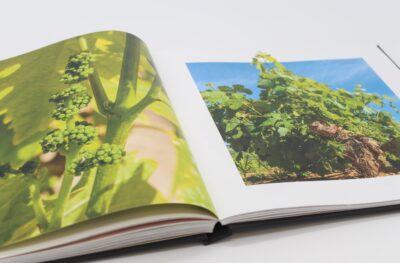 Kanonkop Coffee Table Book